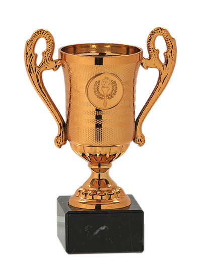 Pokal Bronze mit Platz für ein Mini Emblem
